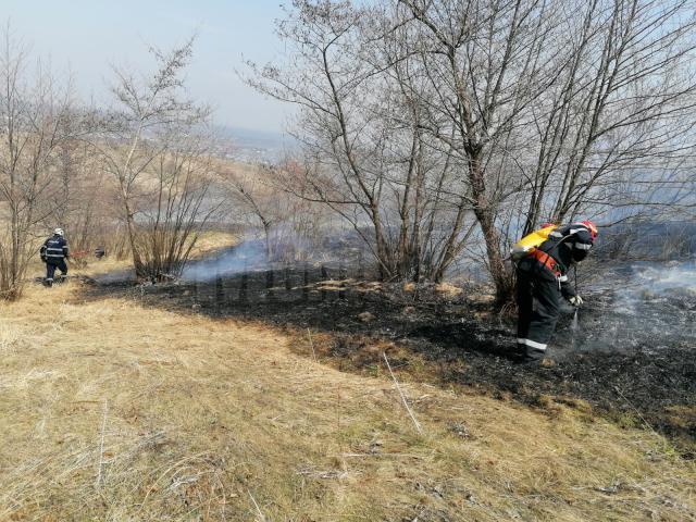 Multe incendii de vegetație, pe 28 de hectare, în ziua de marți