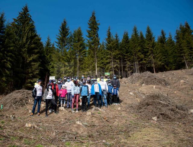 Acțiunea de împădurire a avut loc, în paralel, în județele Suceava și Iași