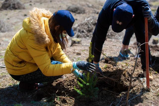 Angajații Iulius Mall au plantat 3.500 de copaci pentru un viitor cu aer mai curat