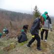 Zeci de elevi și profesori de la Colegiul „Alexandru cel Bun” Gura Humorului au participat la o acțiune de împădurire