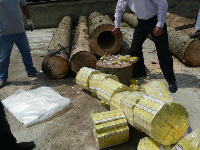 Ţigări de contrabandă aduse în România în bușteni scobiți