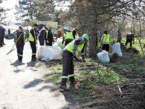 Mobilizare de forțe pentru curățarea parcului Șipote și a pădurii Zamca de către Primăria Suceava
