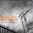 Poetul Alexandru Ovidiu Vintilă își lansează joi, online, cel mai recent volum de poezie