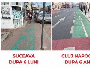 Cuşnir atrage atenția asupra siguranței pietonilor și bicicliștilor din Suceava
