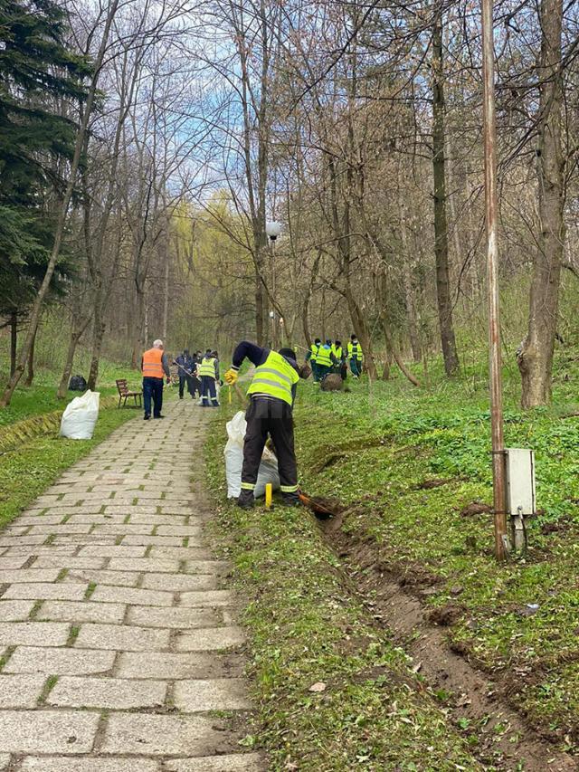Campania de curățenie de primăvară în Parcul Șipote și în pădurea Zamca