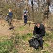 Mobilizare de forțe pentru curățarea parcului Șipote și a pădurii Zamca de către Primăria Suceava