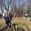 Elevii și profesorii de la CN Mihai Eminescu au plantat 36 de puieți de fag pe raza Ocolului Silvic Pătrăuți