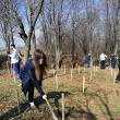 Elevii și profesorii de la CN ”Mihai Eminescu” au plantat 36 de puieți de fag pe raza Ocolului Silvic Pătrăuți