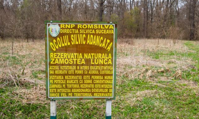 Rezervația naturală Pădurea Zamostea-Luncă foto Ștefan Macedon Gheorghiță