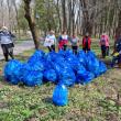 Acțiunea de ecologizare