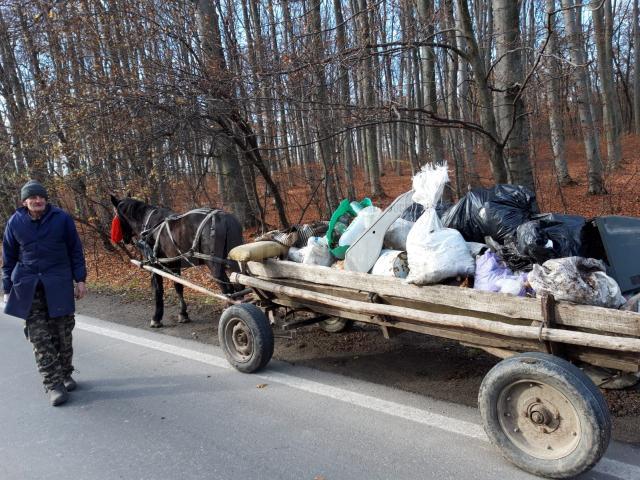 Tone de gunoaie, ridicate din pădurea de la Adâncata