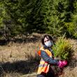 2.700 de puieți de molid și brad, plantați cu voluntari și personal silvic la OS Stulpicani