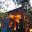 incendiu fratauti