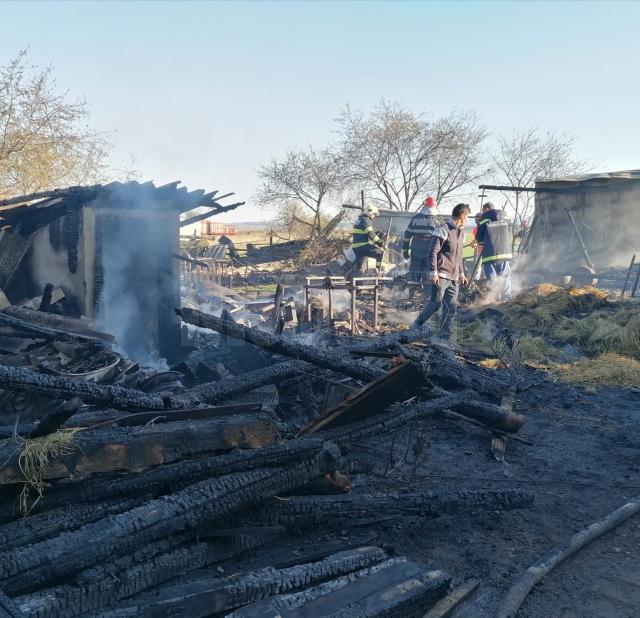 incendiu fratauti