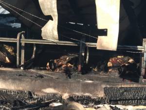 Incendiul de la ferma din Bosanci a pornit de la un balot de paie din exterior, aprins de o țigară