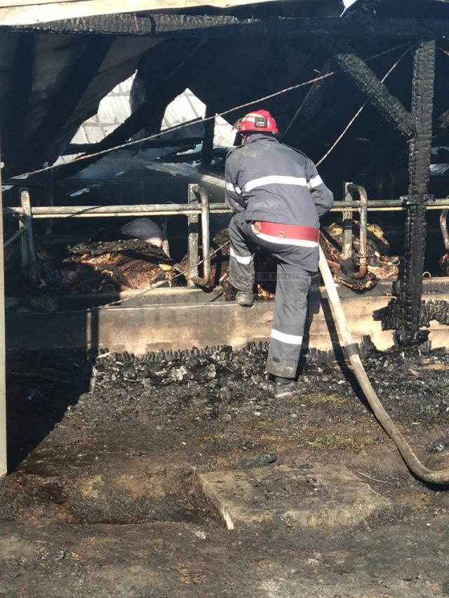 Incendiul de la ferma din Bosanci a pornit de la un balot de paie din exterior, aprins de o țigară