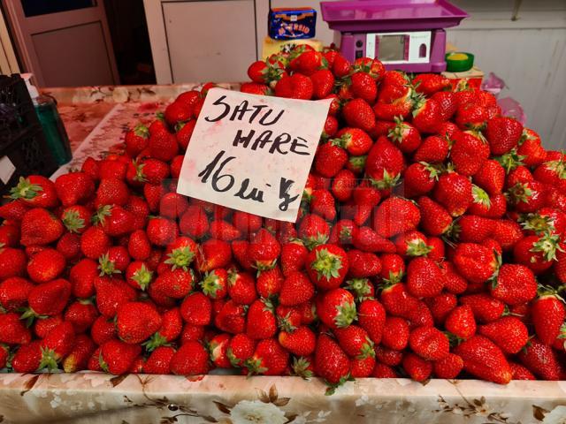 Căpșuni Satu Mare