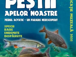 „Mediul acvatic - un paradis nedescoperit. Peștii apelor noastre”, lecție de muzeu