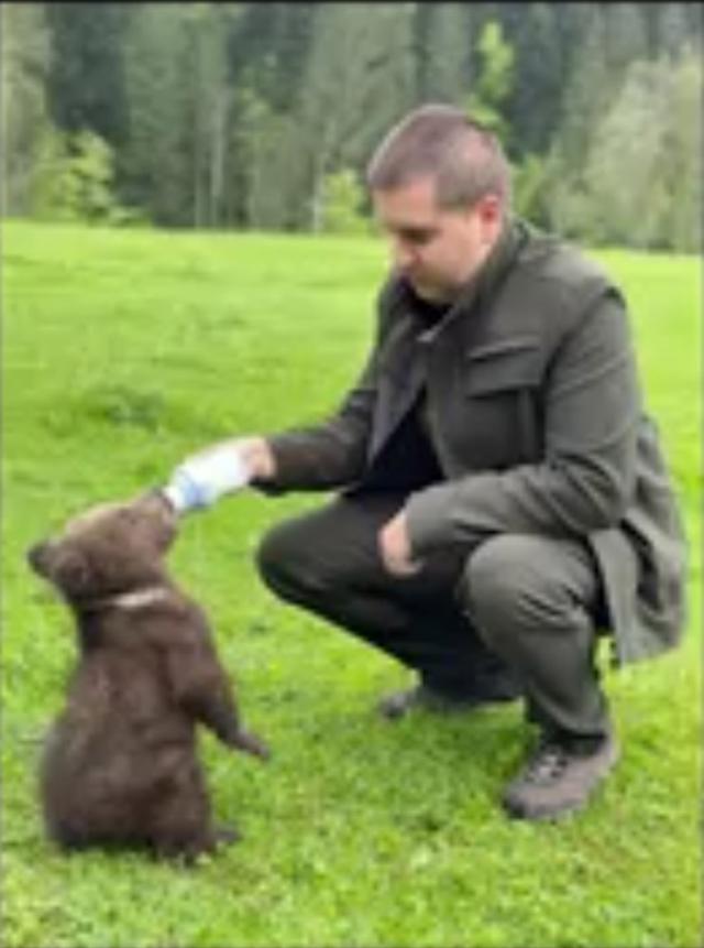 Un pui de urs de trei luni, abandonat de mamă, a fost găsit la Mălini