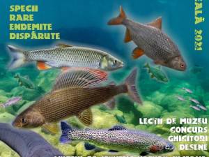 „Peștii apelor noastre”, lecție de muzeu pentru elevii din școlile primare, gimnaziale și liceele din tot județul