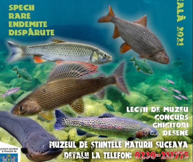 „Peștii apelor noastre”, lecție de muzeu pentru elevii din școlile primare, gimnaziale și liceele din tot județul