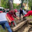 Viceprimarul  Lucian Harșovschi a verificat în teren lucrările de modernizare a parcului, dând și o mână de ajutor muncitorilor