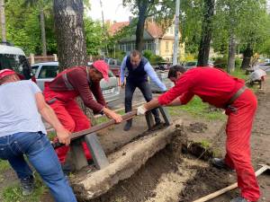 Viceprimarul  Lucian Harșovschi a verificat în teren lucrările de modernizare a parcului, dând și o mână de ajutor muncitorilor