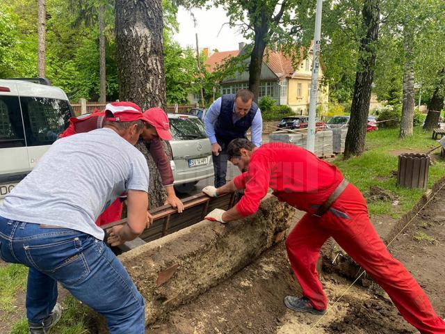 Parcul Simion Florea Marian, din centrul Sucevei, a intrat în reabilitare