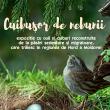 Expoziția itinerantă „Cuibușor de nebunii”, la Galeriile de Artă din Rădăuți