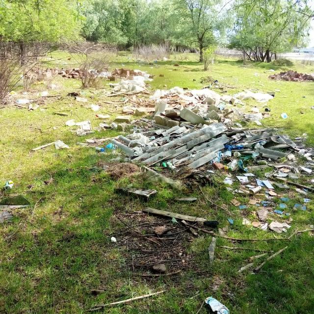 Deșeuri găsite în proximitatea șoselei de centură a municipiului Rădăuți