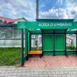 Noi stații de așteptare sunt deja montate deja în 10 locații din municipiul Suceava