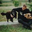 Ștefan Mandachi obligă statul român să plătească daune morale în problema animalelor ...