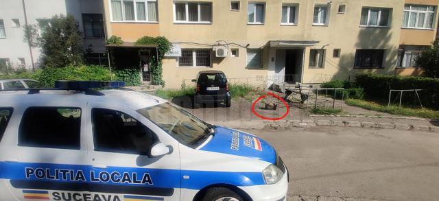Zeci de lădițe, cauciucuri și alte materiale folosite pentru a rezerva locuri de parcare pe domeniul public, confiscate de Poliția Locală Suceava