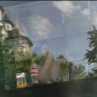 O femeie pe jumătate goală a circulat prin Suceava cu un autobuz TPL