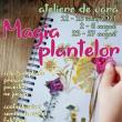 Atelier de educație muzeală Magia plantelor, la Muzeul de Științele Naturii