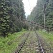 Tren ajuns în Gara Suceava cu aproape 300 de minute întârziere
