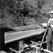 „Combinatul forestier A V-a aniversare a R.P.R. Fălticeni”