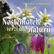 Expoziția temporară „Nestematele verzi ale naturii”, la Muzeul de Științele Naturii Suceava