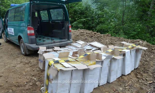 Aproape 12.000 de pachete de țigări de contrabandă, ascunse în pădure