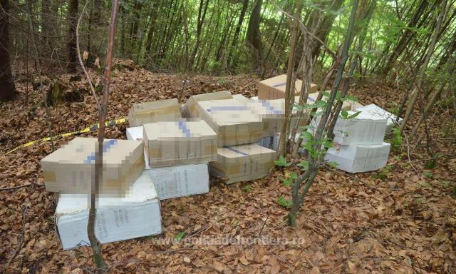 Aproape 12.000 de pachete de țigări de contrabandă, ascunse în pădure