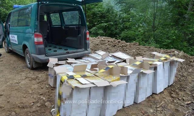 Aproape 12.000 de pachete de țigări de contrabandă, ascunse în pădure