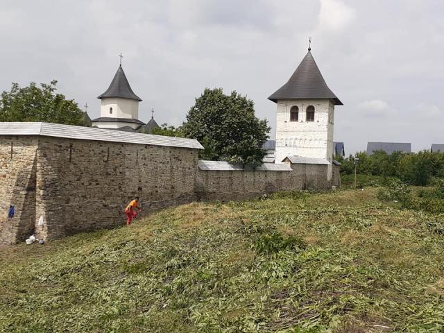 Mănăstirea Zamca, monument istoric ascuns de buruieni și nepăsare, scos la lumină după patru zile de muncă a unor voluntari