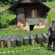 Depozit de țigări de contrabandă în pivnița unei case din Straja