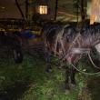 Și-a ”uitat” a doua oară în câteva zile calul pe străzile din Suceava