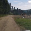 Resturi din construcții, aruncate sub o pădure din Putna. Foto: Cristi Crețu