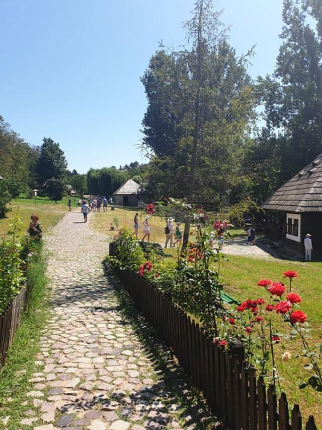 Sucevenii au vizitat în număr mare Muzeul Satului Bucovinean de Ziua porților deschise