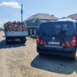 Prins în timp ce transporta lemn fără acte, cu permisul suspendat