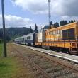 Pelerinii, invitați să meargă cu trenul la Putna și Cacica, de marea sărbătoare a Sf. Marii