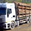 Tir de 50.000 de euro, confiscat de polițiști după ce șoferul a fost prins fără permis de ...