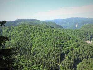 Măsuri suplimentare pentru prevenirea și stingerea incendiilor în fondul forestier administrat de Romsilva